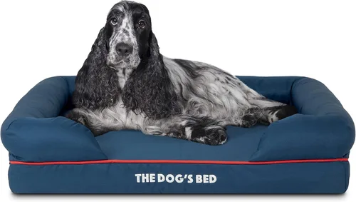 Miniatura 47 de The Dog's Bed - Cama ortopédica de espuma viscoelástica para perros medianos, colchón de soporte de alta densidad, entrada frontal baja, funda negro