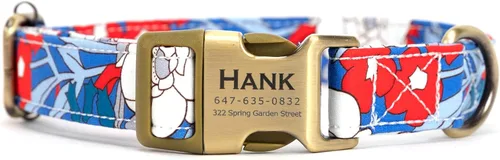 Miniatura 30 de Collar de perro personalizado con nombre y número de teléfono grabado, collar ajustable personalizado para cachorros, collar de algodón orgánico