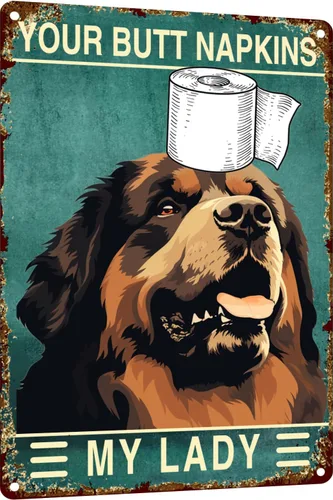 Miniatura 11 de Letrero de metal con texto en inglés "Dog Border Collie Are You Pooping", letrero vintage divertido retro de aluminio para el hogar, cocina, baño