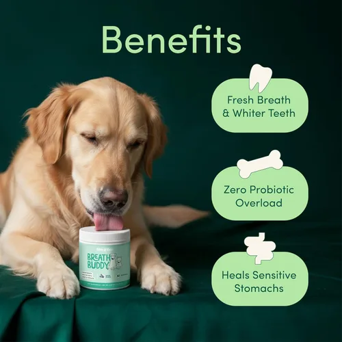 Miniatura 6 de Fifth & Fido Breath Buddy Polvo Dental para Perros para Aliento más Fresco y Dientes más Limpios, Polvo de Limpieza de Dientes para Gatos y Perros