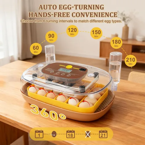 Miniatura 5 de Incubadora de 24 huevos para eclosión con volteador automático, control inteligente de temperatura y humedad, visualización de 360°, ovoscopio