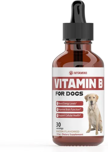 Vitamina B para perros | Complejo de vitamina B para perros | Vitamina B12 para perros | Vitaminas para perros | Vitaminas B12 para perros |