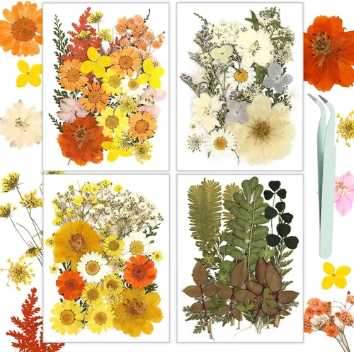 Flores Secas, Resiners 100 Piezas de Flores Prensadas para Manualidades Amarillas Flores Secas Naturales Reales Kit de Hojas Secas para Hacer