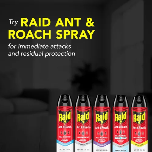Miniatura 9 de Raid Ant Killer Spray Pine Forest (17.5 onzas (paquete de 2)