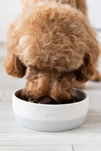 Miniatura 10 de Pearhead Ceramic Bone Appétit - Cuenco para perros, capacidad para 2 tazas, plato de gres para alimentos y agua, comedero para mascotas gris y Tazón