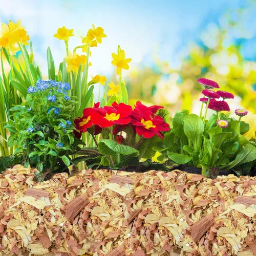 Miniatura 4 de 100 % natural de virutas de cedro Mantillo Ideal para plantas de interior o exterior en macetas Cama para perros (4 cuartos)