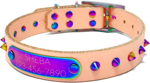 Miniatura 7 de Collar de perro de cuero con brida hecha a mano, grabado arco iris de acero inoxidable (negro)