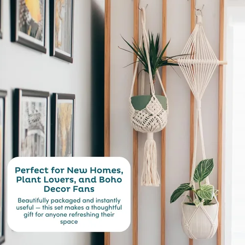 Miniatura 8 de Nook Theory Paquete de 4 Colgadores de Macramé para Plantas con 8 Ganchos - Macetas Colgantes para Plantas de Interior, Colgadores de Macramé Boho