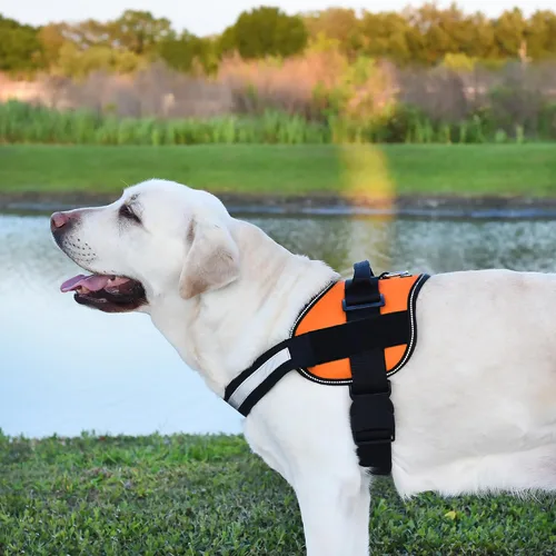 Miniatura 5 de Dogline Arnés para perro, chaleco reflectante ajustable sin tirones con asa para caminar, entrenar, transpirable, arnés sin estrangulamiento