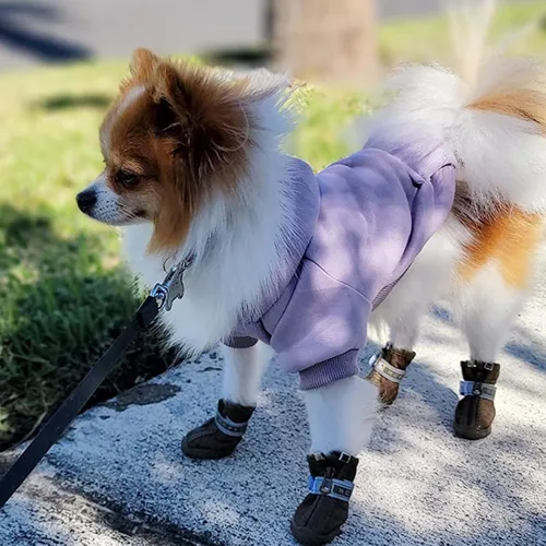 Miniatura 3 de Jecikelon Sudadera con capucha para perro de invierno con bolsillos, ropa cálida para perros pequeños, abrigo de chihuahua, ropa de cachorro y gato