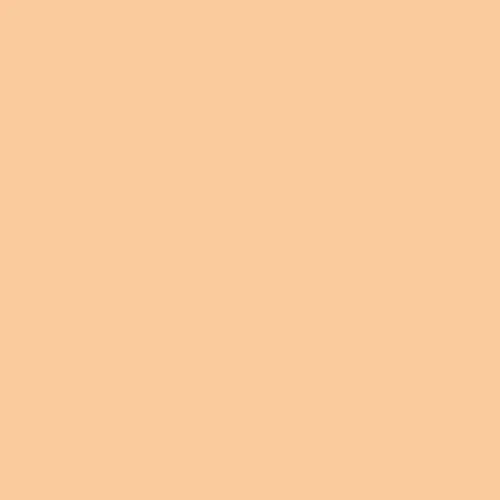 Miniatura 2 de Vallejo Color Fleshtone Premium RC