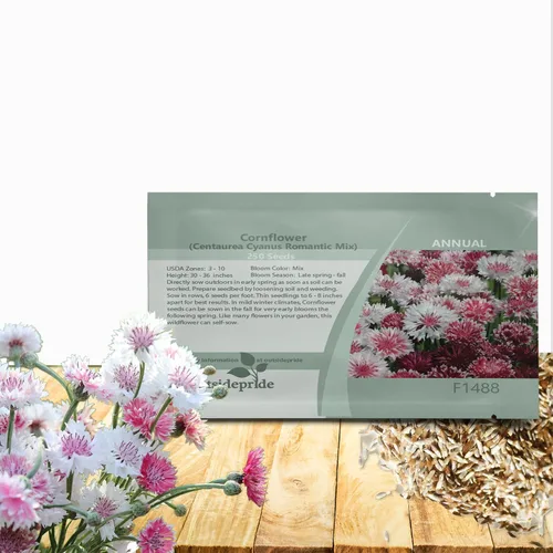 Outsidepride Mezcla romántica de semillas de aciano para plantar, 250 unidades. Semillas anuales de flores de botón de licenciatura para jardines de