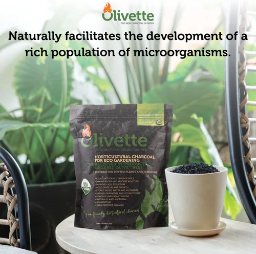 Miniatura 5 de Olivette Carbón activado de biochar hortícola para plantas, control de humedad orgánico USDA para árboles de terrario y plantas en maceta