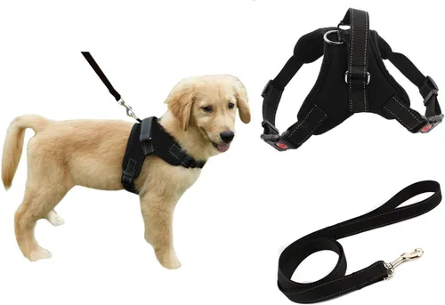 Miniatura 12 de Juego de arnés de seguridad con correa para perro resistente y ajustable al cuello, correa acolchada que no ocupa que la jales, transpirable