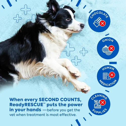Miniatura 7 de Dr. Cuddles ReadyRESCUE – Carbón Activado de Nueva Generación para Perros y Gatos, 30g - Desintoxicación de Toxinas de Grado Veterinario - Botiquín