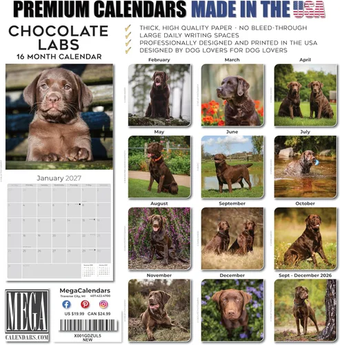 Miniatura 7 de Calendario de chocolate Labrador 2025 2026 – Calendario mensual de pared de raza de perro – 12 x 24 pulgadas abierto – Papel grueso sin sangrado