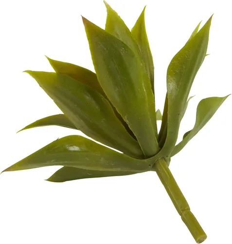 Miniatura 5 de Nearly Natural 6110-S12 Planta suculenta de agave, mini, juego de 12