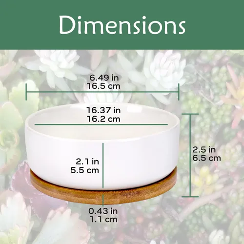Miniatura 4 de BambooMN Macetas de cerámica para suculentas, 1 maceta, cuenco redondo, con bandeja de bambú, color blanco, 6.49 pulgadas
