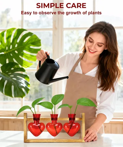 Miniatura 6 de Nacome Estaciones de propagación de terrarios de plantas: regalos del día de la madre para mamá, amantes de las plantas, mujeres, esposa, hija