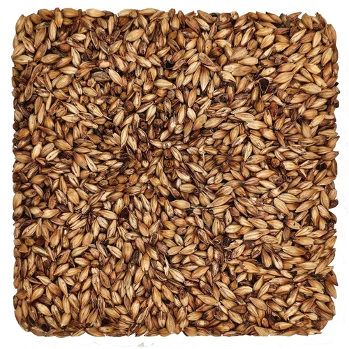 Miniatura 9 de Briess 2-Row Black Malt 500L - 1 lb
