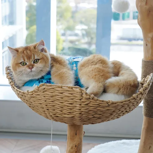 Miniatura 5 de Traje de recuperación para gatos: Traje de poscirugía azul suave para gatos con diseño de huella de pata - Traje de recuperación elástico
