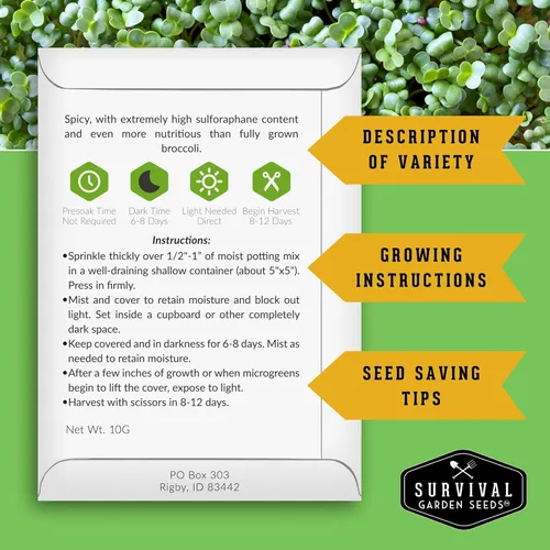 Miniatura 2 de Broccoli Microgreen Seeds for Broting - Semillas tradicionales sin OMG para cultivo en interiores o hidropónicos, cosecha rápida, densas