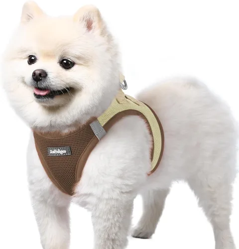 Miniatura 65 de rabbitgoo Arnés para perro pequeño, chaleco de malla suave para cachorros con hebilla de seguridad, arnés reflectante transpirable para mascotas