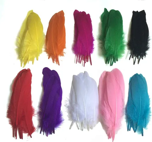 Plumas de ganso de colores, paquete de 100 unidades de 10 colores
