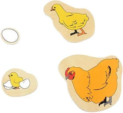 Miniatura 4 de Montessori - Rompecabezas de madera para niños pequeños, ciclo de vida de gallina, huevo, incubación, crecer, caricaturas, rompecabezas de Jingsaw