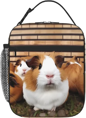 Miniatura 12 de Lonchera con aislamiento para mujer, bolsa de almuerzo con diseño de arco iris y orgullo gay para el trabajo, picnic, portátil