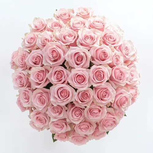 Miniatura 10 de GlobalRose Ramo de 50 rosas surtidas, rosas de origen responsable, flores frescas, ramo fresco de flores seleccionadas a mano para el día