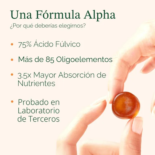 Miniatura 4 de ROOT LABS Gomitas Alpha Shilajit 10 en 1 4000 mg de Shilajit puro del Himalaya con Tongkat Ali y raíz de maca Shilajit para hombres y mujeres