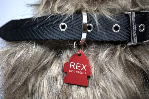 Miniatura 3 de Providence grabado Aluminio Pet ID Etiquetas para gato y perro