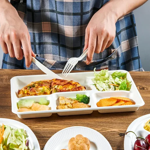 Miniatura 7 de ECOLipak Platos de 5 compartimentos 100% compostables, paquete de 100 platos de papel desechables con compartimentos, platos biodegradables de caña