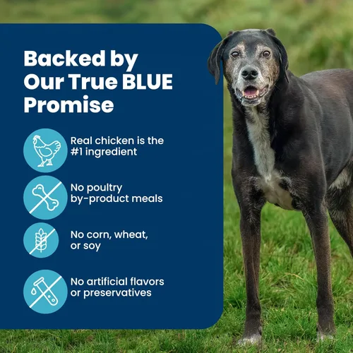 Miniatura 6 de Blue Buffalo Life Protection Formula - Alimento seco para perros adultos de raza grande, promueve la salud de las articulaciones y los músculos