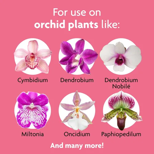 Miniatura 2 de Miracle-Gro Picos de alimento para plantas de orquídeas