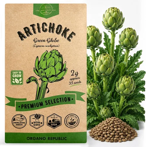 Paquete de semillas de alcachofa Green Globe 2G - Más de 35 semillas autóctonas sin OMG para plantar verduras en paquetes de semillas individuales,
