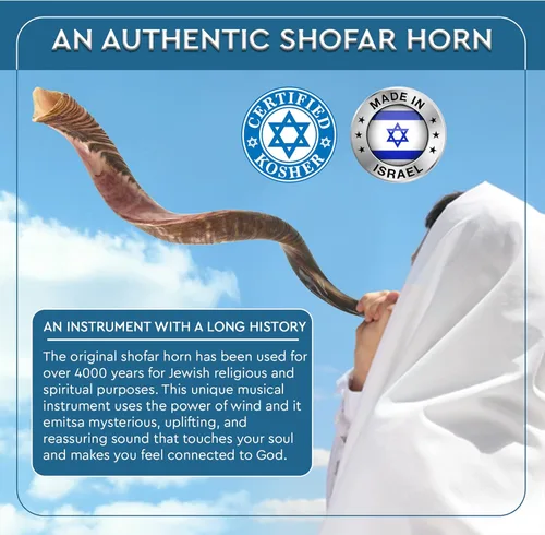 Miniatura 7 de YOMTOV-SHALOM Kudu Shofar Shofar en venta Kosher de Israel 35-39 pulgadas