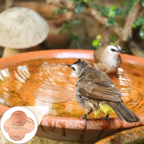 Miniatura 7 de MorningRo 4 discos de cobre para baño de pájaros de 4 pulgadas, 0.024 in de grosor, reforzado con 99.99% de cobre puro, disco de purificación