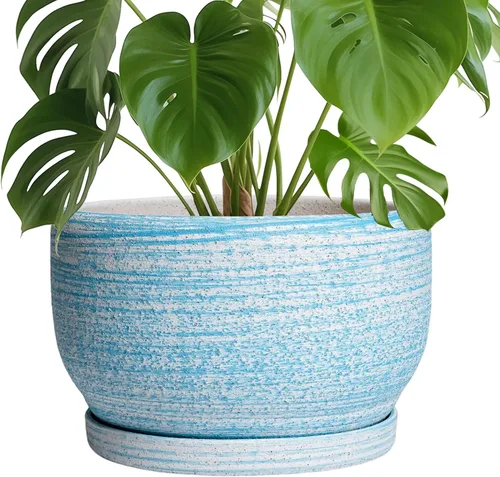Miniatura 55 de SQOWL Macetas de cerámica – Maceta de 6 pulgadas con orificio de drenaje y bandeja, maceta redonda para plantas de interior, maceta decorativa