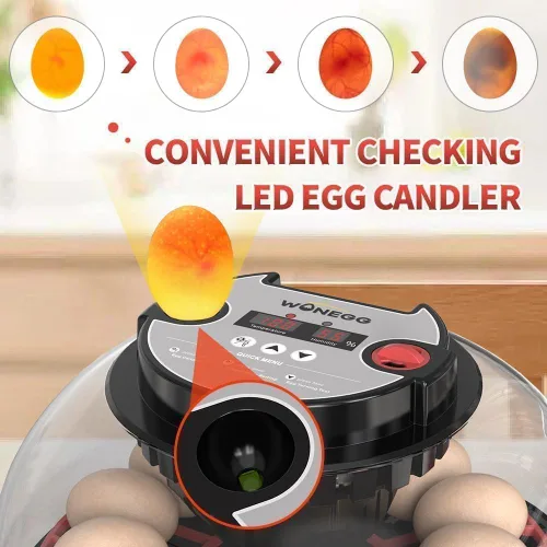 Miniatura 6 de Incubadora Digital de 12 Huevos con Volteador Automático de Huevos, Control de Humedad y Ovoscopio LED para Incubar Pollos, Patos, Codornices y Más