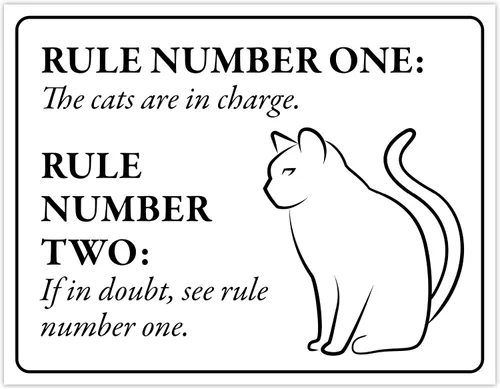 Miniatura 60 de Señal de Gato de 24 Horas de Vigilancia Felina de Premises Under 24 Hour - Cartel de gato divertido, metal, 8 x 12 pulgadas, letreros de gato