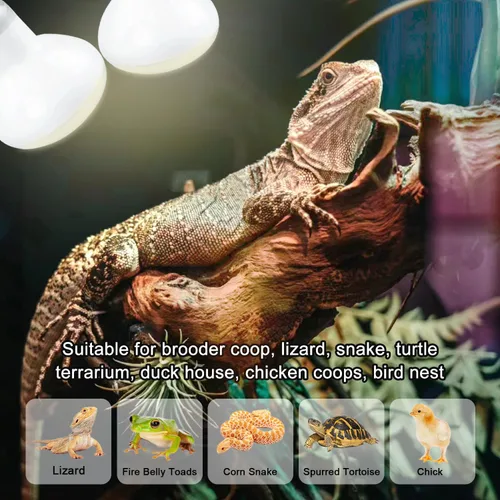 Miniatura 6 de Lámpara de calor para reptiles de 75 W, paquete de 2 bombillas UVA con base E26 para lagartos, tortugas, serpientes y anfibios