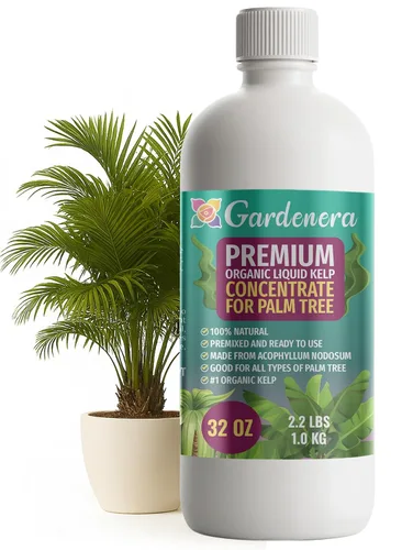 Miniatura 70 de GARDENERA Superalimento orgánico prémium de algas marinas y algas marinas para plantas AGLAONEMA, 8 onzas, concentrado de fertilizante líquido