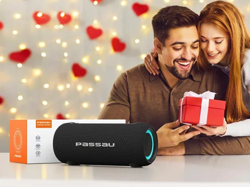 Miniatura 9 de Passau Altavoces Bluetooth portátiles con sonido estéreo de pico de 40 W, radiadores pasivos, graves profundos, reproducción durante todo el día