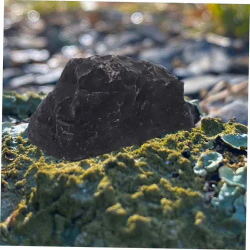 Miniatura 4 de HOMSFOU Caja a prueba de agua al aire libre clave Hider cubierta segura falsa almacenamiento de llaves de roca para patio
