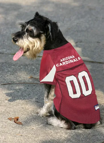 Miniatura 3 de Camiseta de los Arizona Cardinals de la NFL para Perro - Talla X-Small, Disfraz de Jersey de Fútbol para Perros y Gatos