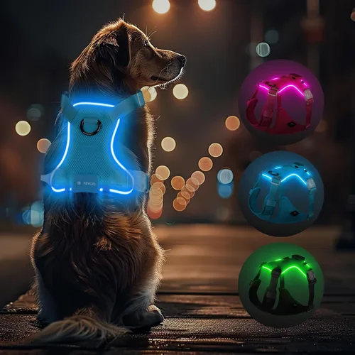 Miniatura 7 de Arnés con luz para perro, arnés reflectante para mascotas, recargable, arnés de chaleco LED para pasear por la noche, chaleco de seguridad ajustable