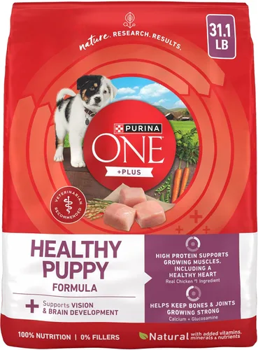 Purina ONE Plus Healthy Puppy Formula Alimento seco natural con alto contenido de proteínas para cachorros con vitaminas, minerales y nutrientes