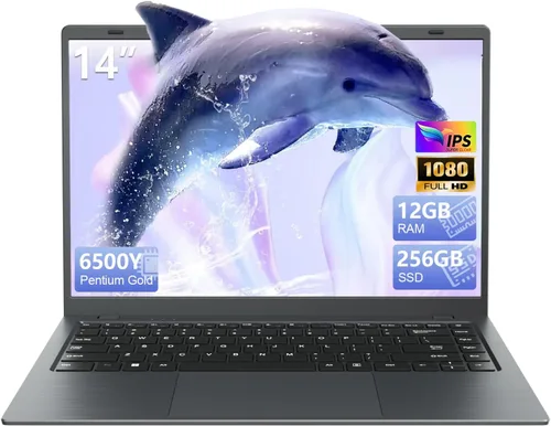 Computadora portátil de 14 pulgadas, 12 GB de RAM y 256 GB SSD, procesador Pentium Gold 6500Y (hasta 3.4 GHz), pantalla IPS FHD, batería de 38 Wh,
